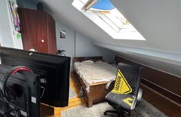 Pachet 2 apartamente  în casă, 3 camere, 70 mp, zona ultracentrala