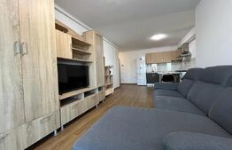 Apartament cu 3 camere la cheie, 63 mp, bloc nou, parcare, zona Frunzisului