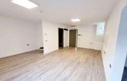 Birou cu 5 incaperi, Parter, 250 mp, zona Parcului Central