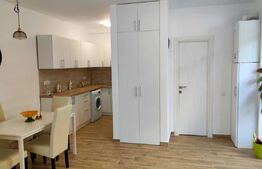Apartament cu 2 camere, 45 mp, zona Câmpului , pet friendly