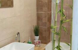 Apartament cu 2 camere, 45 mp, zona Câmpului , pet friendly