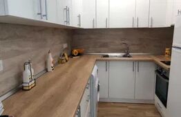 Apartament cu 2 camere, 45 mp, zona Câmpului , pet friendly