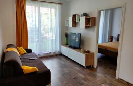 Apartament cu 2 camere, 45 mp, zona Câmpului , pet friendly