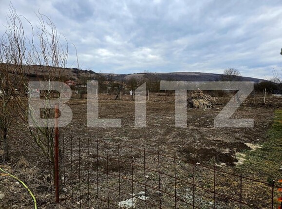Teren de vânzare Baciu - 168669TV | BLITZ Cluj-Napoca | Poza1