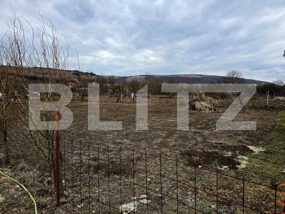 Teren de vânzare Baciu - 168669TV | BLITZ Cluj-Napoca | Poza2