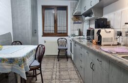 Apartament la casa! 48 mp, 100 mp teren, zona Dambu Rotund