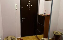 Apartament cu o camera, 38 mp, etaj intermediar, zona USAMV 