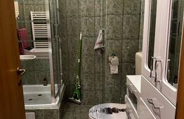 Apartament cu o camera, 38 mp, etaj intermediar, zona USAMV 