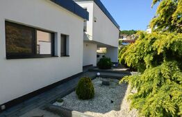 Casa Verde 178 mp, anexa 54 mp, panouri fotovoltaice, piscina, 1.000 mp de teren