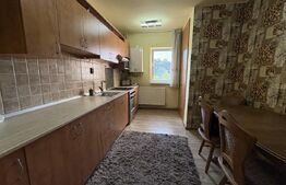 Apartament 4 camere, pet friendly, parcare, zona UMF