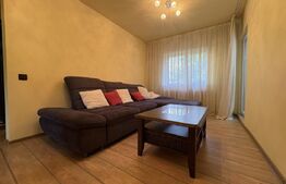 Apartament 4 camere, pet friendly, parcare, zona UMF