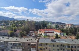 Oportunitate-Apartament de vanzare, cu 3 camere, 65 mp, nemobilat, zona Griviței