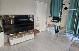 Apartament 1 camera ,Semicentral 