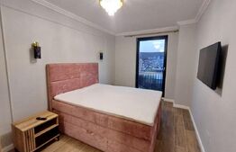 Apartament lux   2 camere open space, zona Scala Frunzisului