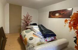 Casa Bontida cu mai multe anexe de inchiriat pe parcursul festivalului Electric 