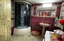 Casa Bontida cu mai multe anexe de inchiriat pe parcursul festivalului Electric 