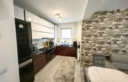 Apartament 3 camere in Tractoru