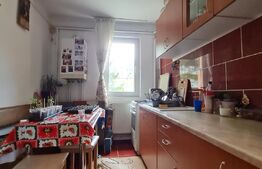 Apartament de vanzare, cu 2 camere, 41 mp, zona Griviței