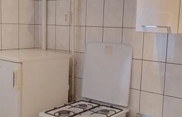  Garsonieră cochetă de închiriat, 32 mp, etaj 1, complet mobilată, zona Astra