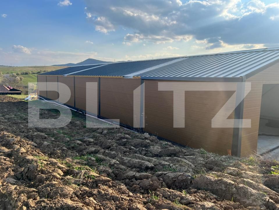 Spațiu industrial de vânzare Savadisla - 169017SVI | BLITZ Cluj-Napoca | Poza3