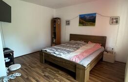 Apartament 1 camera, spatios 44m2, parcare, boxa subsol, Manastur 