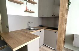 Apartamnt cu o camera, 21 mp,  complet renovat, zona Calea Floresti 