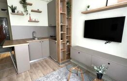 Apartamnt cu o camera, 21 mp,  complet renovat, zona Calea Floresti 