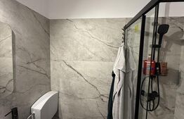 Apartamnt cu o camera, 21 mp, decomandat, complet renovat, zona Manastur