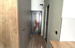 Apartamnt cu o camera, 21 mp,  complet renovat, zona Calea Floresti 