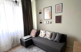Apartamnt cu o camera, 21 mp,  complet renovat, zona Calea Floresti 