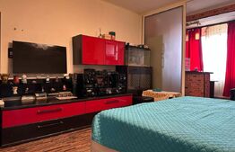 Garsoniera de vanzare, 33 mp, in zona Astra, Brașov