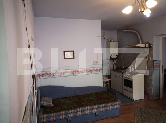 Casa de vânzare 1 camera Someseni - 169047CV | BLITZ Cluj-Napoca | Poza10