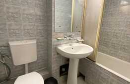 Apartament 2 camere, 50 mp, decomadat, zona strazii Fabricii