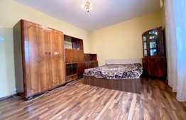 Apartament 2 camere, 50 mp, decomadat, zona strazii Fabricii