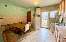 Apartament 2 camere, 50 mp, decomadat, zona strazii Fabricii