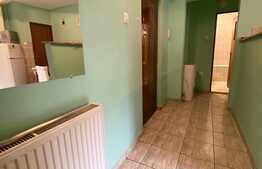 Apartament 2 camere, 50 mp, decomadat, zona strazii Fabricii