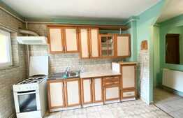 Apartament 2 camere, 50 mp, decomadat, zona strazii Fabricii