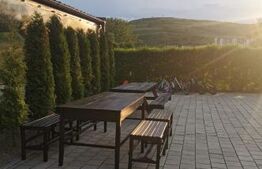 Casa de Vanzare Zona Roata Faget