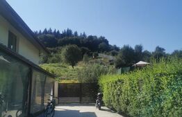 Casa de Vanzare Zona Roata Faget