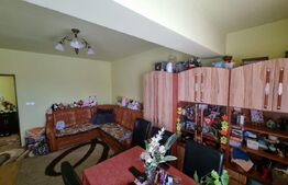 Apartament 2 camere, 47mp, etaj intermediar, zona Petrom Baciu