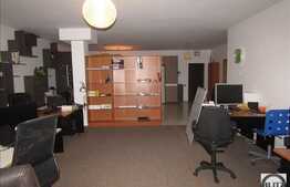 2 camere, 120 mp, A.C., parcare, zona Salii Sporturilor