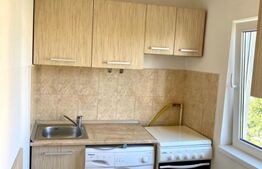 Garsoniera proaspat renovat, decomandata, balcon, zorilor,  Pet friendly 