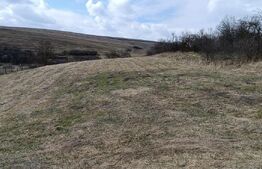 Casă veche cu teren generos de 5.300 mp – oportunitate de investiție în Baciu