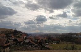 Casă veche cu teren generos de 5.300 mp – oportunitate de investiție în Baciu