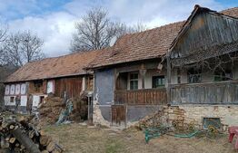 Casă veche cu teren generos de 5.300 mp – oportunitate de investiție în Baciu