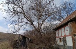 Casă veche cu teren generos de 5.300 mp – oportunitate de investiție în Baciu