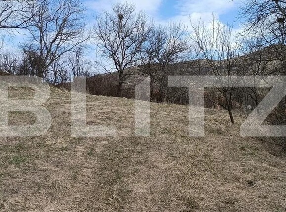 Casa de vânzare 3 camere Baciu - 169214CV | BLITZ Cluj-Napoca | Poza6