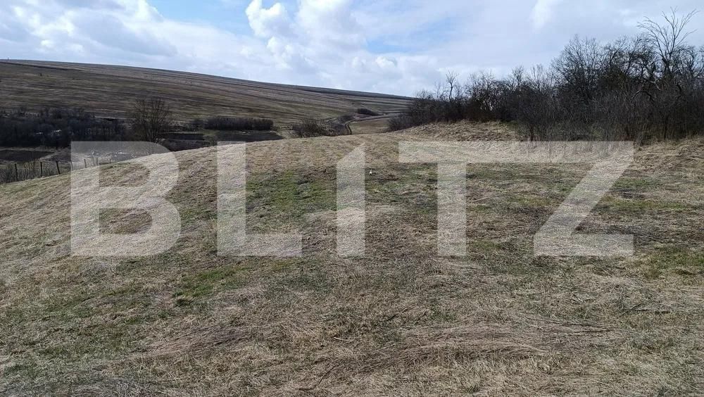 Casa de vânzare 3 camere Baciu - 169214CV | BLITZ Cluj-Napoca | Poza5