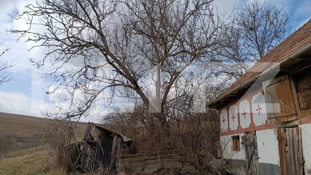 Casa de vânzare 3 camere Baciu - 169214CV | BLITZ Cluj-Napoca | Poza3