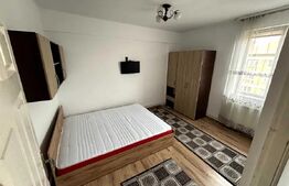 Apartament cu 2 camere, 48 mp, Pet Friendly, zona Centrala